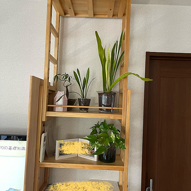 kikiさんの部屋