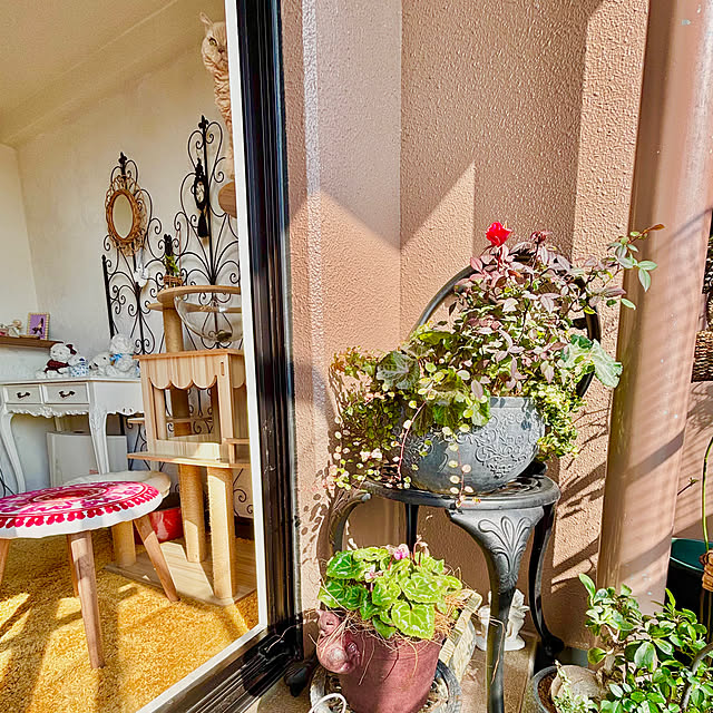 naokoさんの部屋