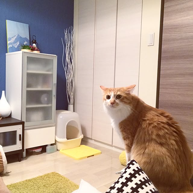 Reikoさんの実例写真