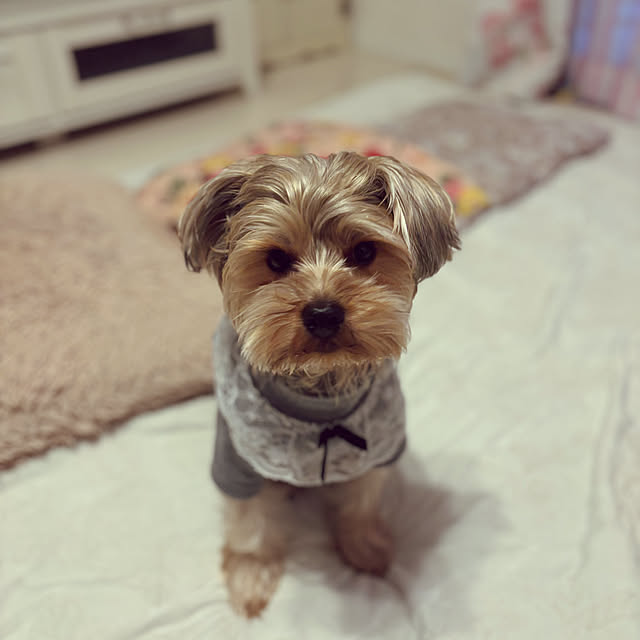 oceanさんの部屋