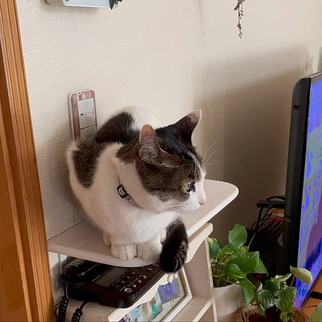 Akiさんの実例写真