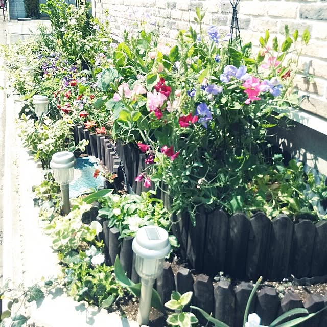 hasano_jpさんの実例写真