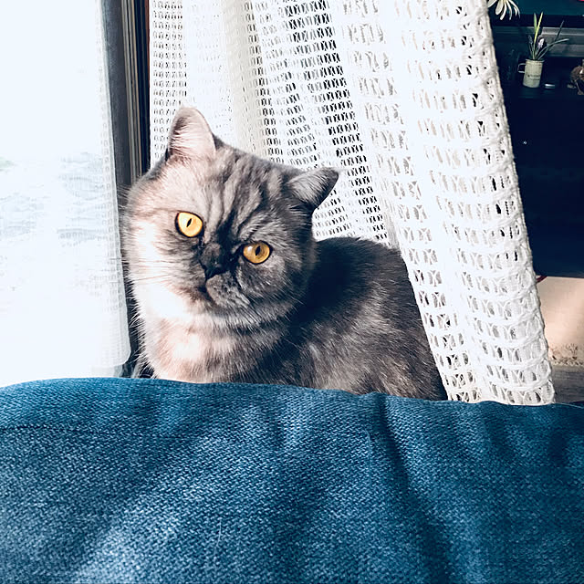 Marinさんの実例写真