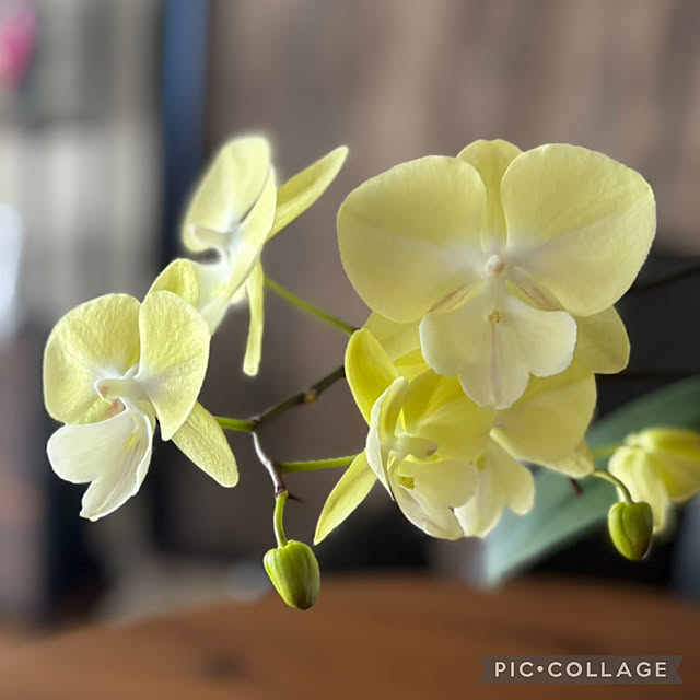 Smilkazuさんの部屋