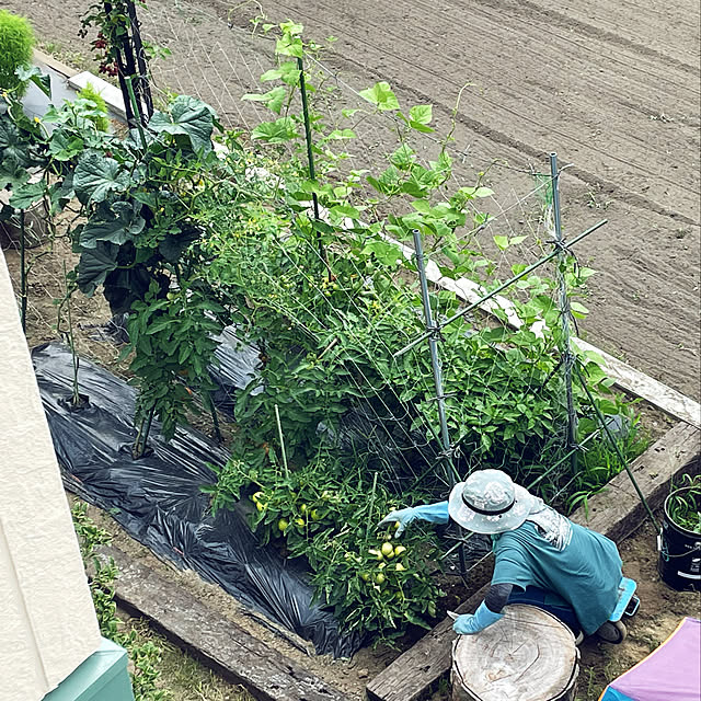 manaさんの実例写真