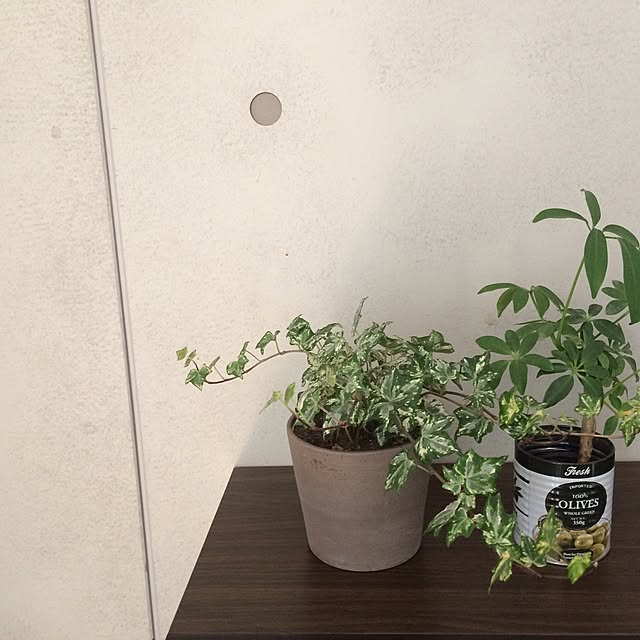 Naotoさんの実例写真