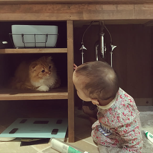 PIYOLANDさんの実例写真