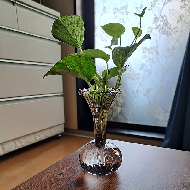 noaさんの実例写真