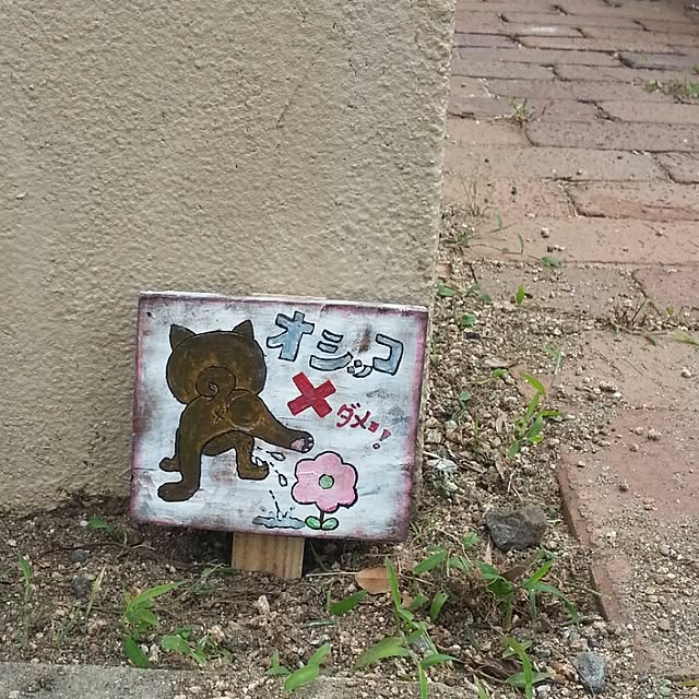 pimoさんの実例写真
