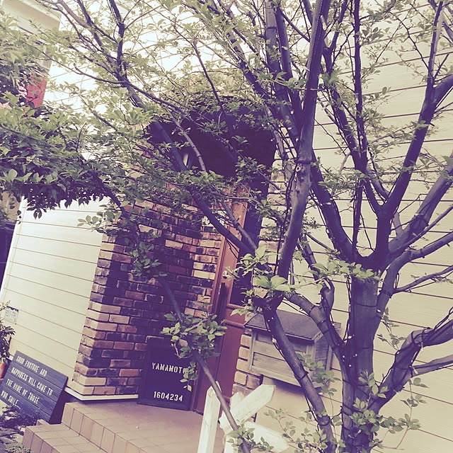 sumyさんの実例写真