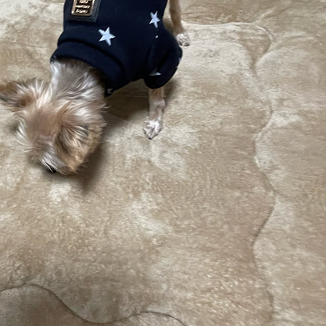 naoさんの実例写真