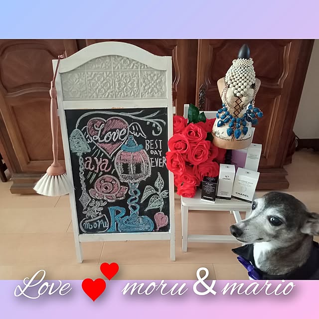 moruさんの部屋