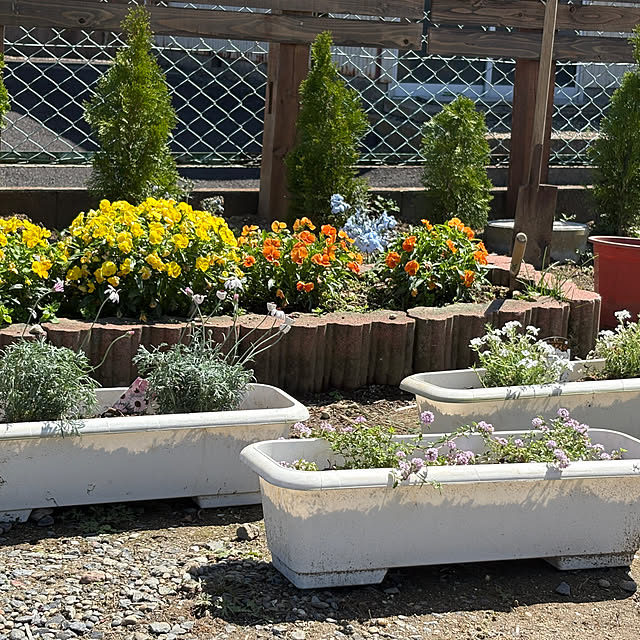 akkeyさんの実例写真