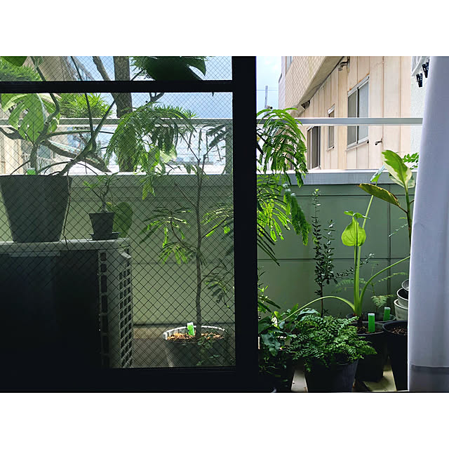 yuya_official96さんの実例写真