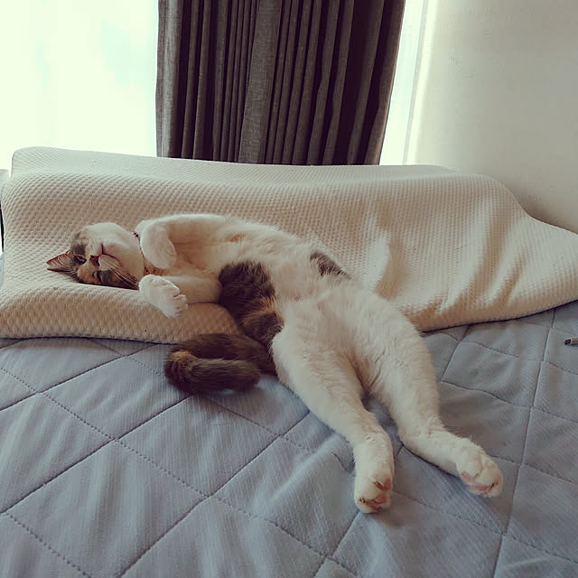 fukuさんの実例写真