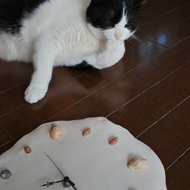 mofu.mokoさんの実例写真