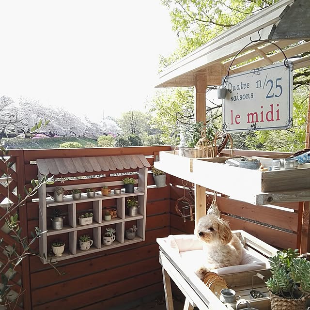masumixさんの実例写真