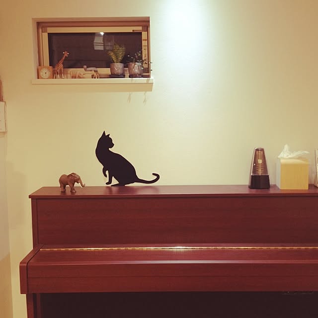 karimayuさんの実例写真
