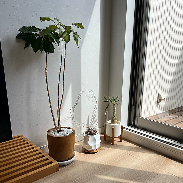 WestGermanyさんの部屋