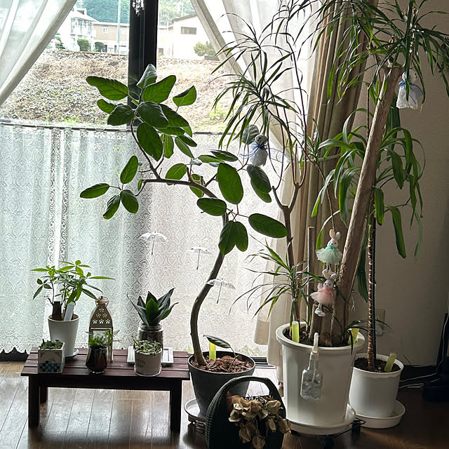 ritsukoさんの部屋
