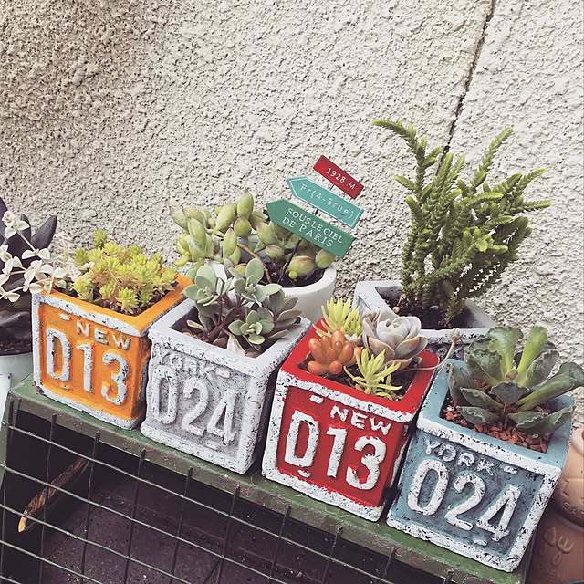 denimdungareeさんの実例写真