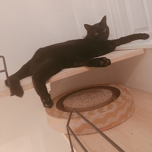 akirisさんの実例写真