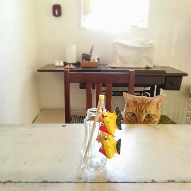 mayutan.さんの実例写真