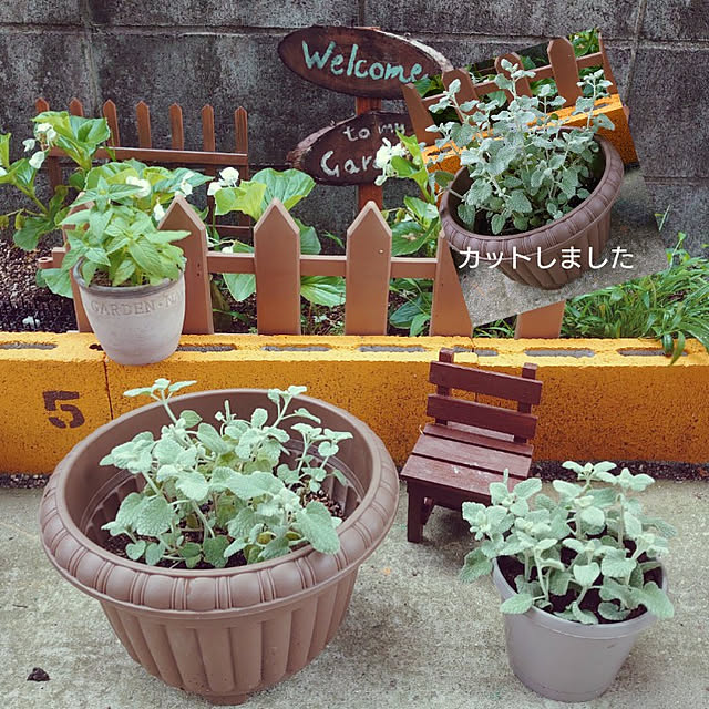 fukuさんの実例写真