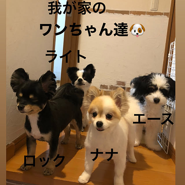 k.yuka29さんの実例写真
