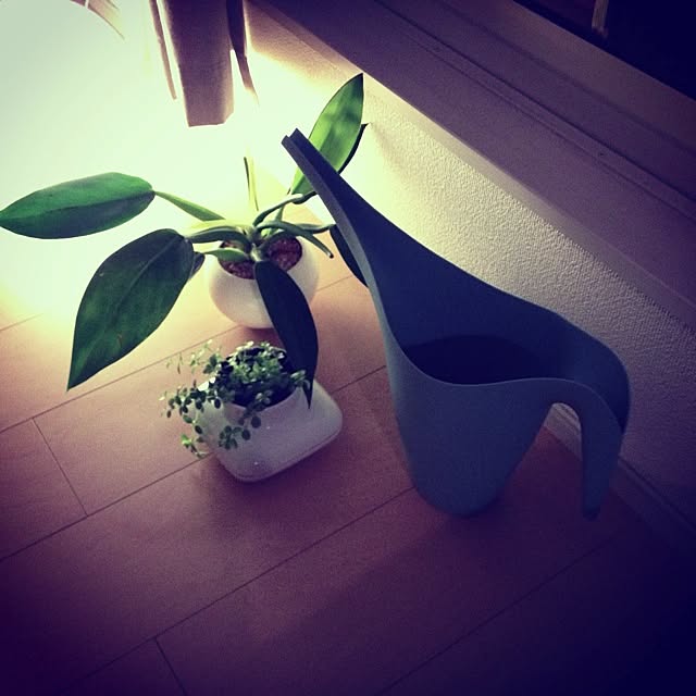 kaffe-hyggeさんの実例写真