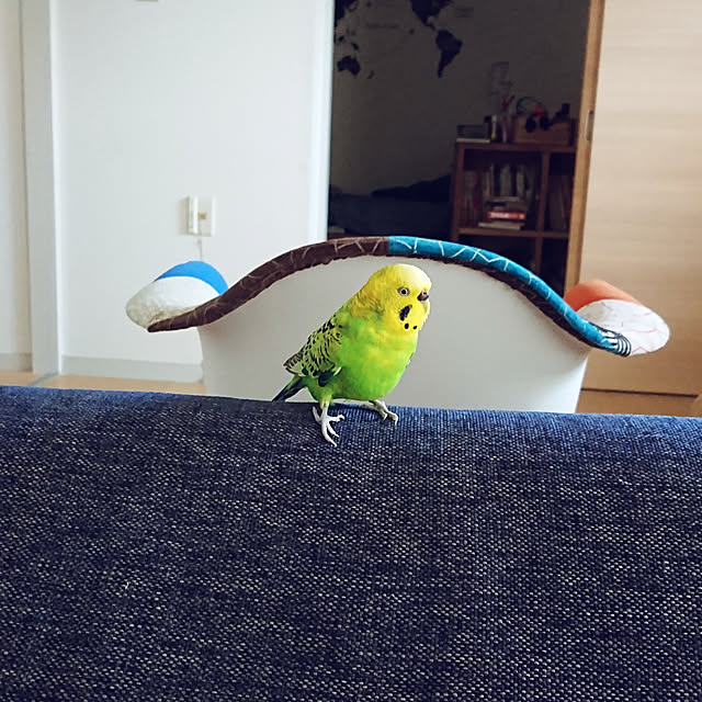 rienbo0510さんの実例写真