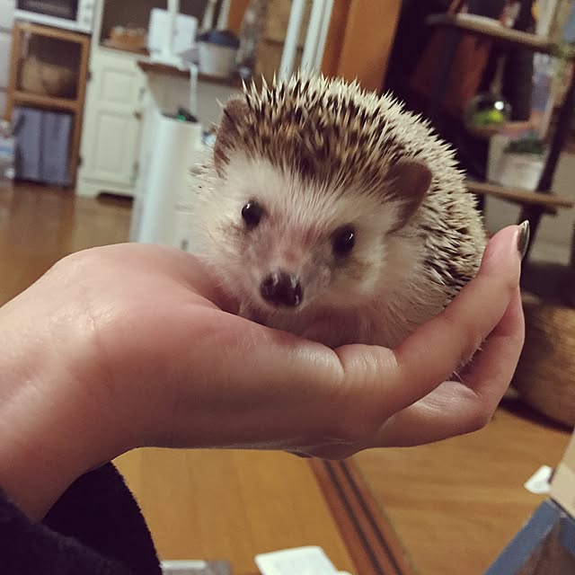 yu_kiさんの実例写真