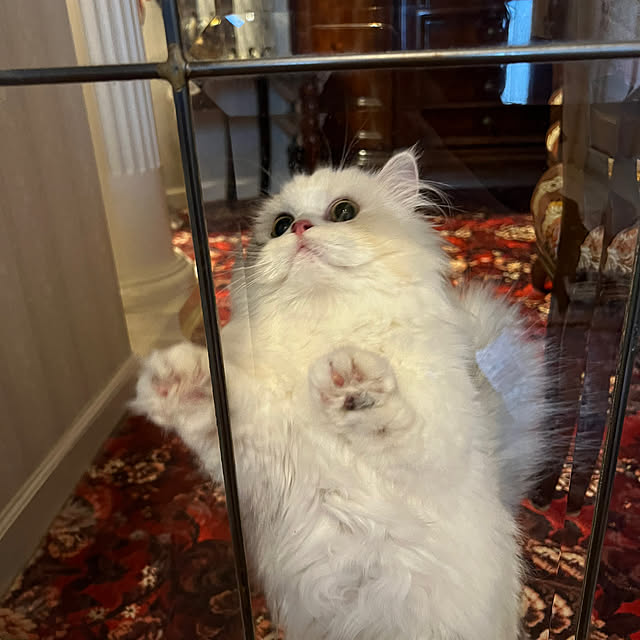 AYUKOさんの実例写真