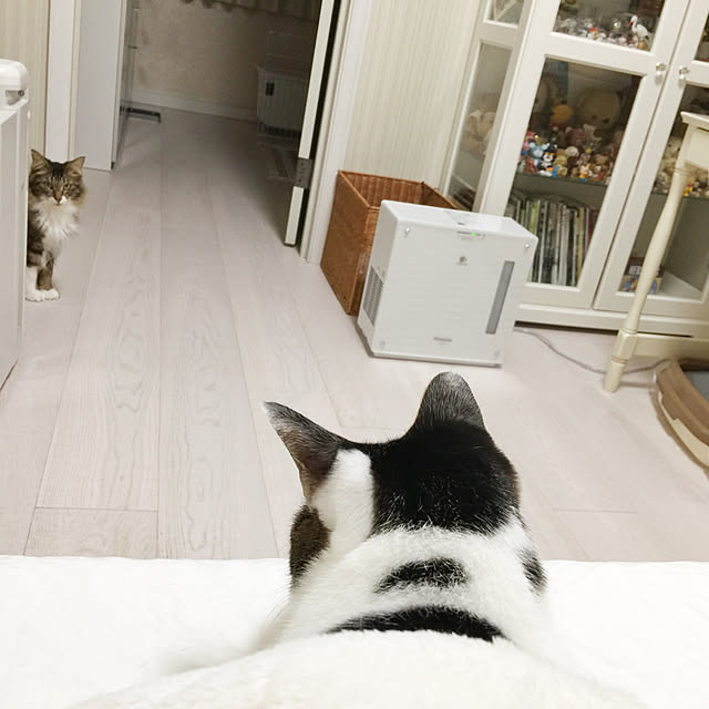yuchiさんの実例写真