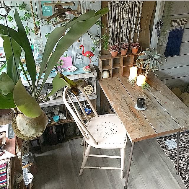 edenさんの実例写真