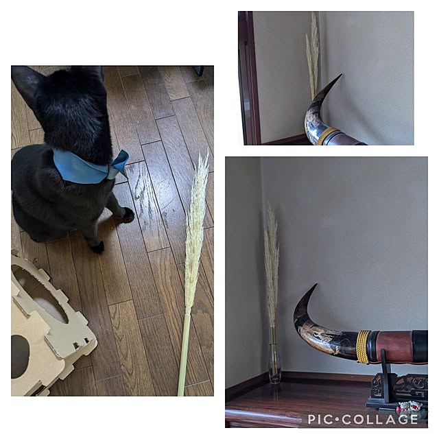 asaさんの部屋