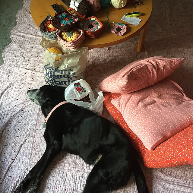 Kozuさんの実例写真