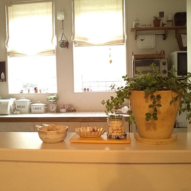 kokkomachaさんの実例写真