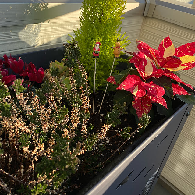 Ba-Beeさんの部屋