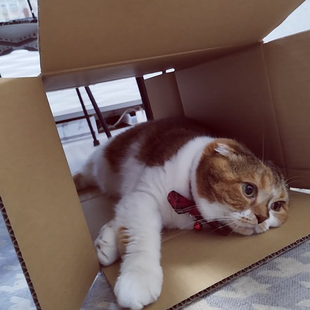 hiro3さんの部屋