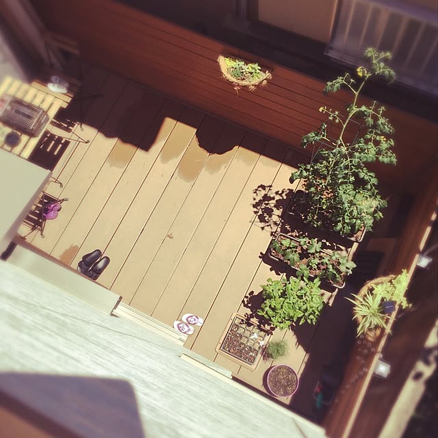masshuさんの実例写真