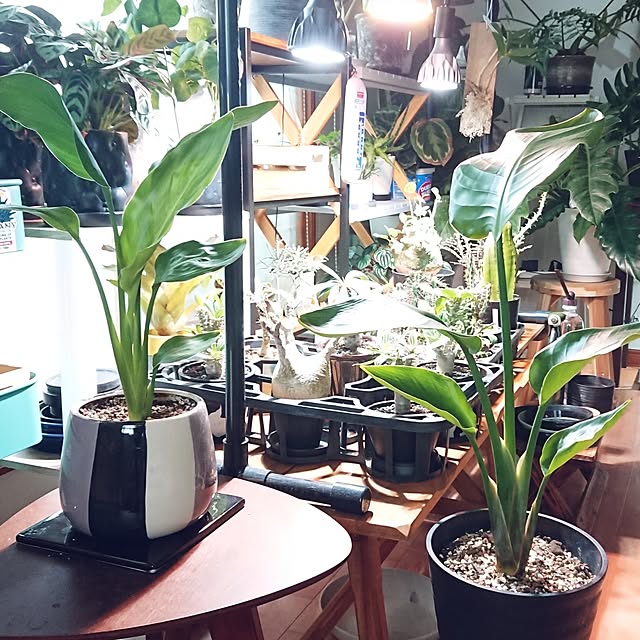 ot-gardenさんの部屋
