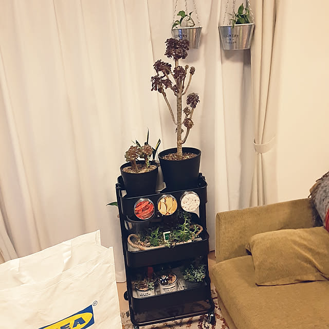 greenmanさんの実例写真