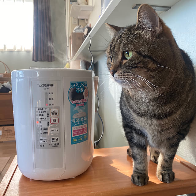 象印マホービン ZOJIRUSHI スチーム式加湿器 ホワイト 親し EE 象印マホービン ZOJIRUSHI スチーム式加湿器 ホワイト 親し EE