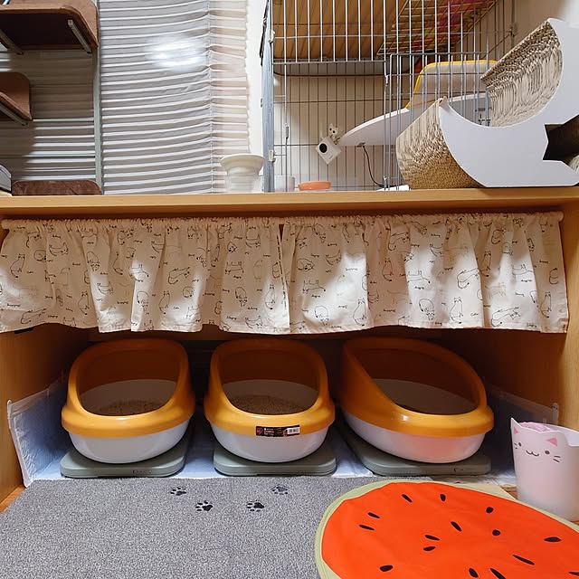 nyanta.koume.kannaさんの実例写真
