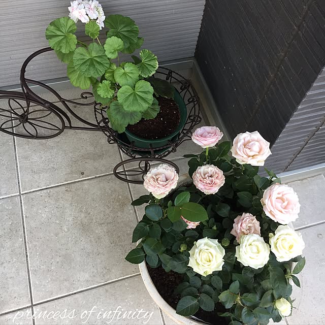 pandaさんの実例写真