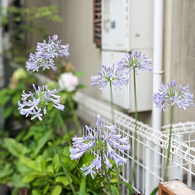 junさんの部屋