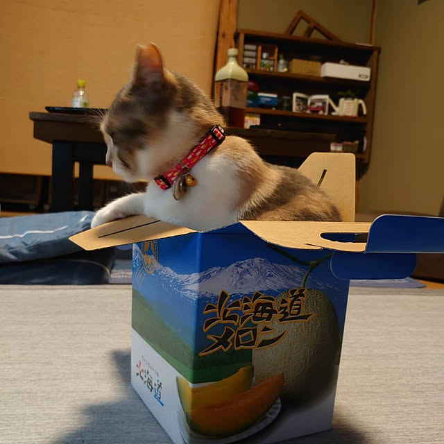 fukuさんの実例写真