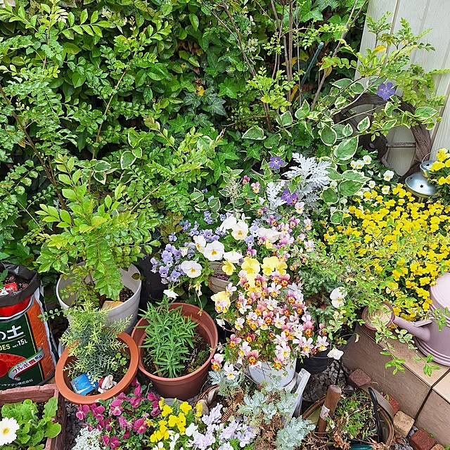 Blancheさんの部屋