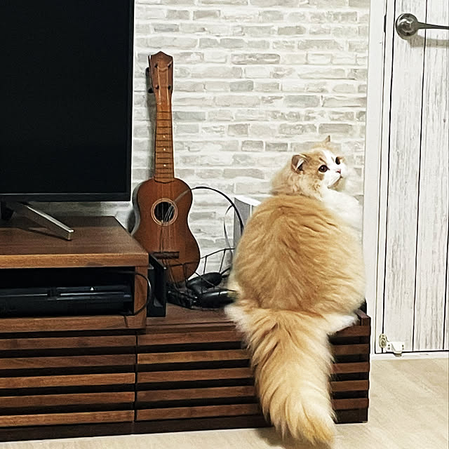 yuuchoさんの実例写真